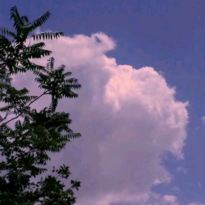 恐龙宝宝消防员游戏下载